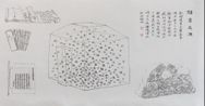 Rain of Language No. 2 by Xie Xiaoze contemporary artwork Painting