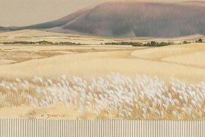 Park Kwang-Jin