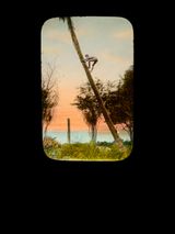 The Suitcase Is A Little Bit Rotten Climb by Sim Chi Yin contemporary artwork sculpture print
