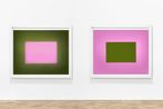 Garry Fabian Miller contemporary artist