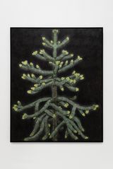 A monkey puzzle tree with new growth by Andrew Sim contemporary artwork drawing works on paper