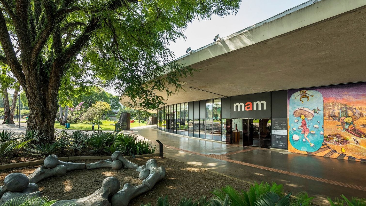 Museu de Arte Moderna de São Paulo (MAM)