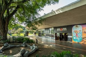 Museu de Arte Moderna de Sao Paulo MAM contemporary art institution in Sao Paulo Brazil