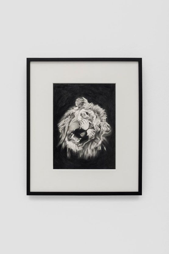Untitled by Banks Violette contemporary artwork Works on Paper