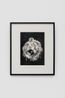 Untitled by Banks Violette contemporary artwork Works on Paper