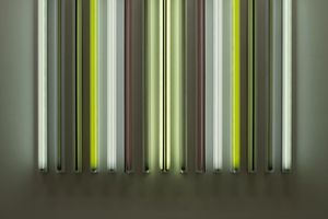 Robert Irwin