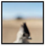 N 580 Fevrier Mars 2008 by Jean-Luc Mylayne contemporary artwork photography print