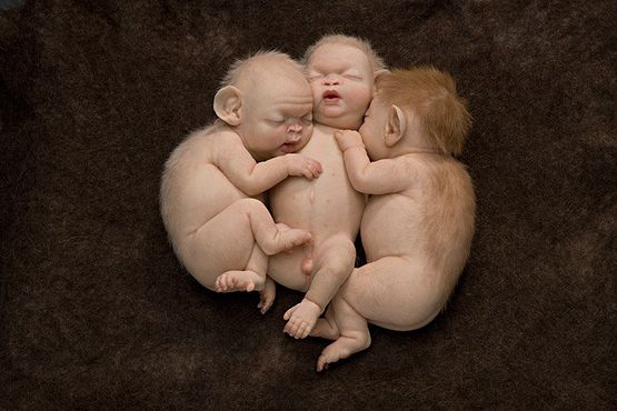 Litter by Patricia Piccinini contemporary artwork Sculpture
