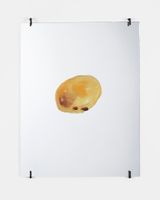 Untitled potato by Andrea Buttner contemporary artwork mixed media