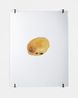Untitled potato by Andrea Buttner contemporary artwork Mixed Media