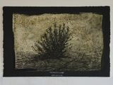 Undescribed by Michael Shepherd contemporary artwork works on paper mixed media