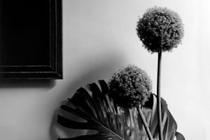 Robert Mapplethorpe
