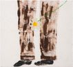 Trousers and Daisy by Jenny Watson contemporary artwork Painting