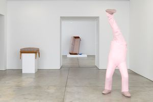 Erwin Wurm