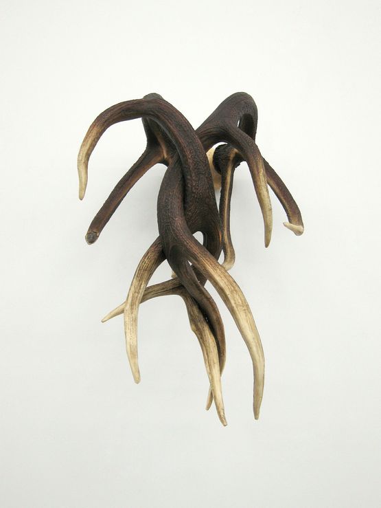 Tress by Michael Joo contemporary artwork Sculpture