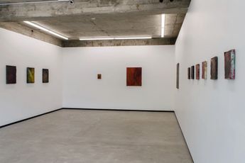 Contemporary art exhibition Tyne Gordon Sourdust at Jhana Millers Wellington New Zealand