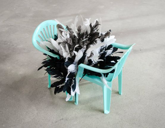 Plumage 1 by Judy Darragh contemporary artwork Design