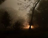 A Discreet Exit Through Darkness by Soumya Sankar Bose contemporary artwork photography