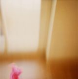Ding am Fenster 10 07 by Frank Madler contemporary artwork photography