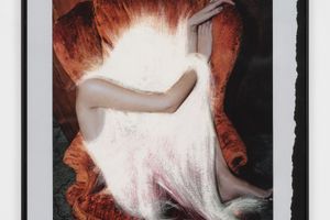 Amie Dicke