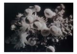 Untitled AG26AFWD by Ridho Rizki contemporary artwork painting