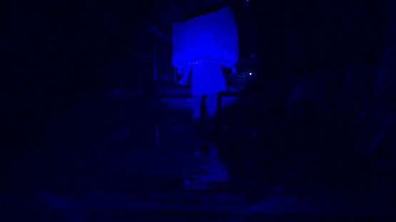 STEADICAM by Yu Guo contemporary artwork Moving Image