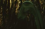Ursprung der Nacht Amazonas Kosmos  Origin of the Night Amazon Cosmos by Lothar Baumgarten contemporary artwork Moving Image