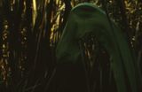Ursprung der Nacht Amazonas Kosmos  Origin of the Night Amazon Cosmos by Lothar Baumgarten contemporary artwork moving image