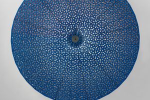 Conrad Shawcross