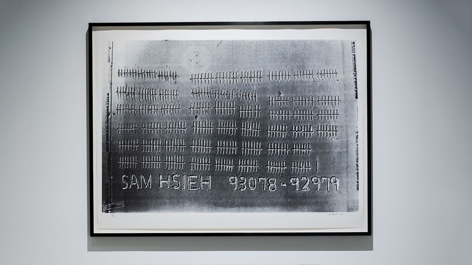 Everyday Practices: Artists Confront Adversity