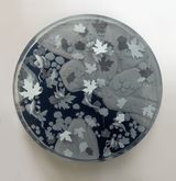 Autumn Pond by Hans Op De Beeck contemporary artwork sculpture