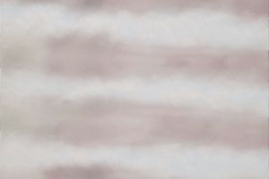 Lim Nosik