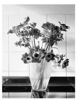 o.T. 2 by Benjamin Katz contemporary artwork photography
