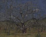 Sketch in Guishan Tree as Elderly No. 1 by Mao Xuhui contemporary artwork painting works on paper