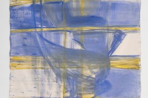 Vivian Suter