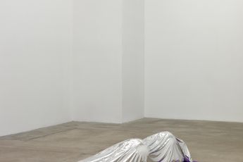 Klaus Weber contemporary artist
