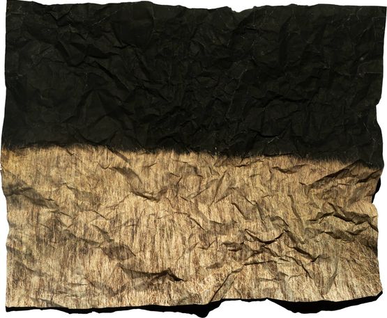 Manifest VII by Tenzing Dakpa contemporary artwork Photography