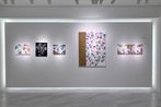 Kosuke Ikeda   contemporary artist