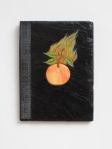 Burning Applies by Denis OConnor contemporary artwork