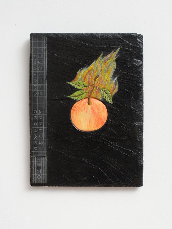 Burning Applies by Denis OConnor contemporary artwork