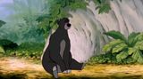 Die reine NotwendigkeitThe pure necessity by David Claerbout contemporary artwork moving image