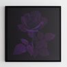 Purple Velvet Rose by Hye Rim Lee contemporary artwork Photography