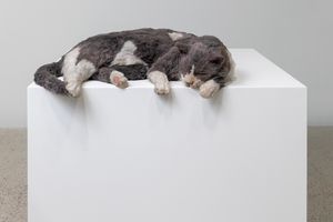 Ryan Gander