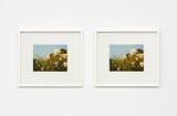Flowers 1 Flowers 2 by Andrew Grassie contemporary artwork painting