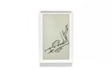 Grenouilles des bois et des champs XVI by Fabienne Verdier contemporary artwork drawing