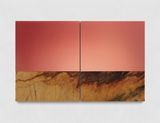 Untitled by Pieter Vermeersch contemporary artwork painting sculpture