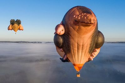 Patricia Piccininis Skywhalepapa to Fly Over Melbourne