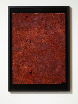 Observations from the Critical Zone 1 by Anne Noble contemporary artwork print
