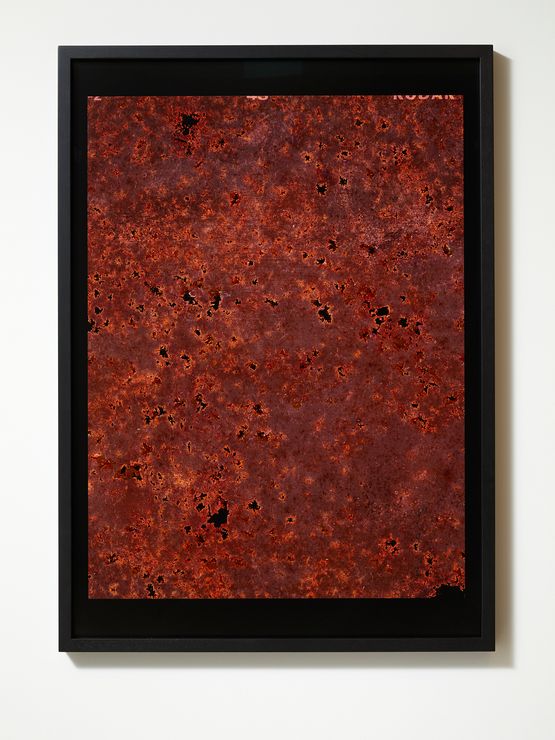 Observations from the Critical Zone 1 by Anne Noble contemporary artwork Print