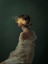 Swan by Andrea Torres Balaguer contemporary artwork photography